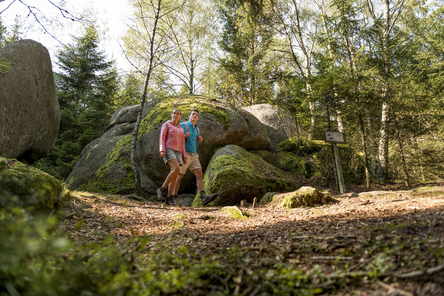 Waldviertel Tourismus, Studio Kerschbaum